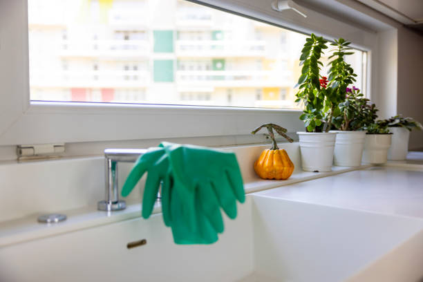 DIY Hacks To Clean Kitchen Window And Kitchen Countertops